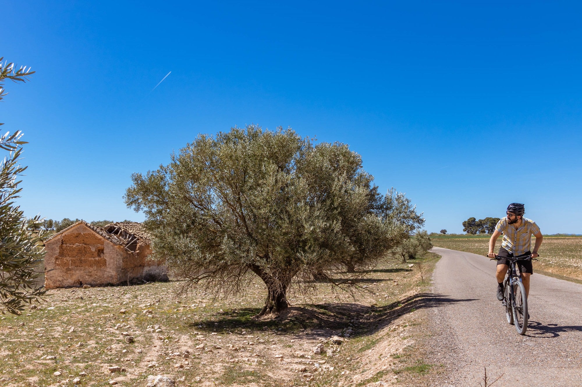 Molino de Zuacorta