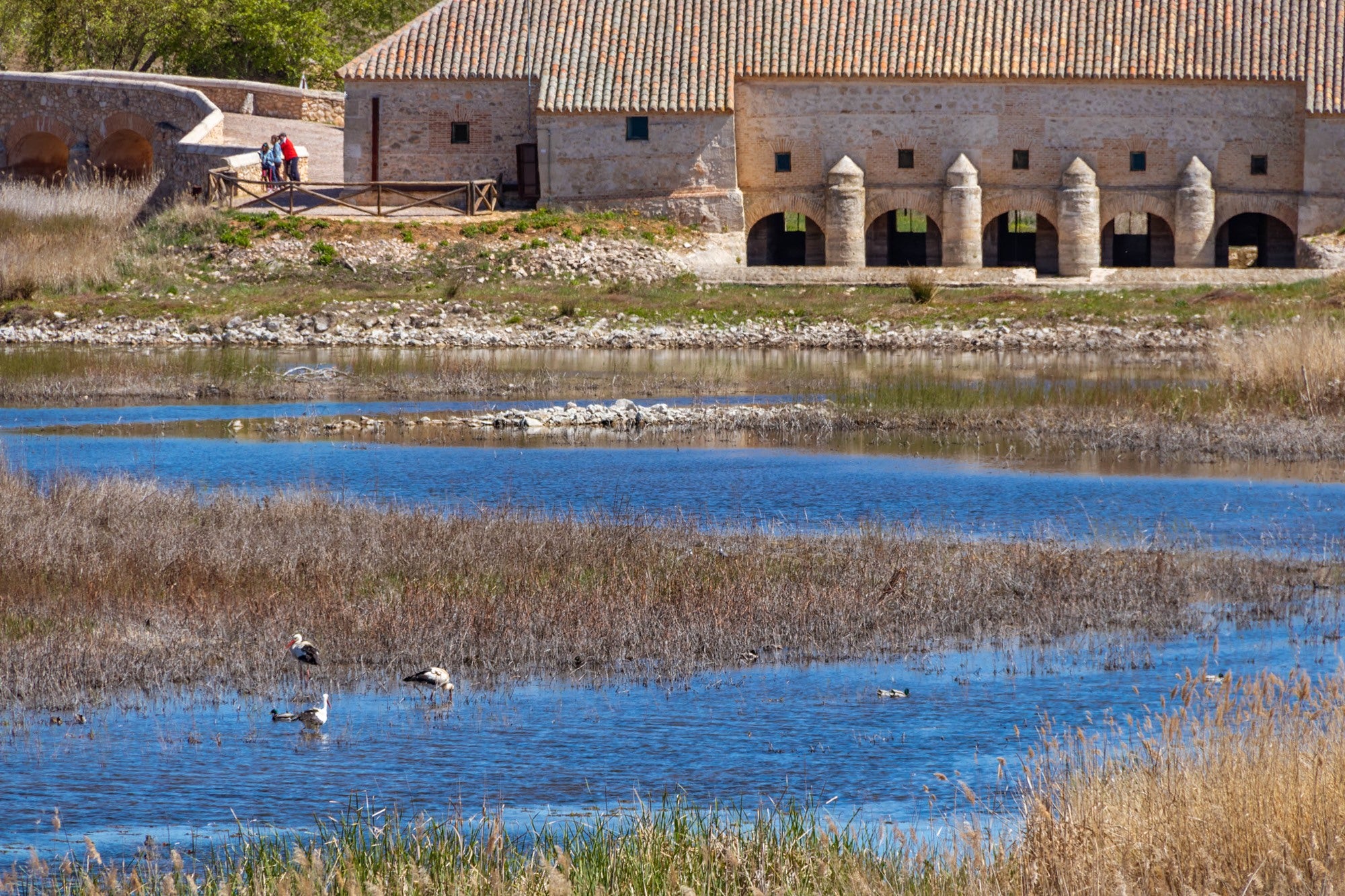 Molino de Molemocho