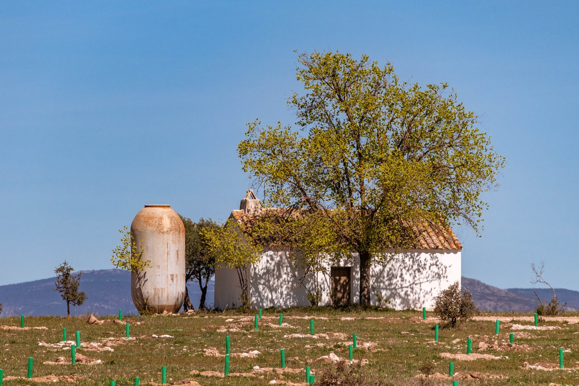 Casa Campo Calatrava