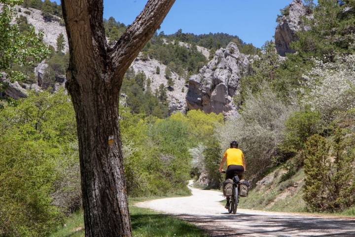 Ruta en Bici Nacimiento Cuervo