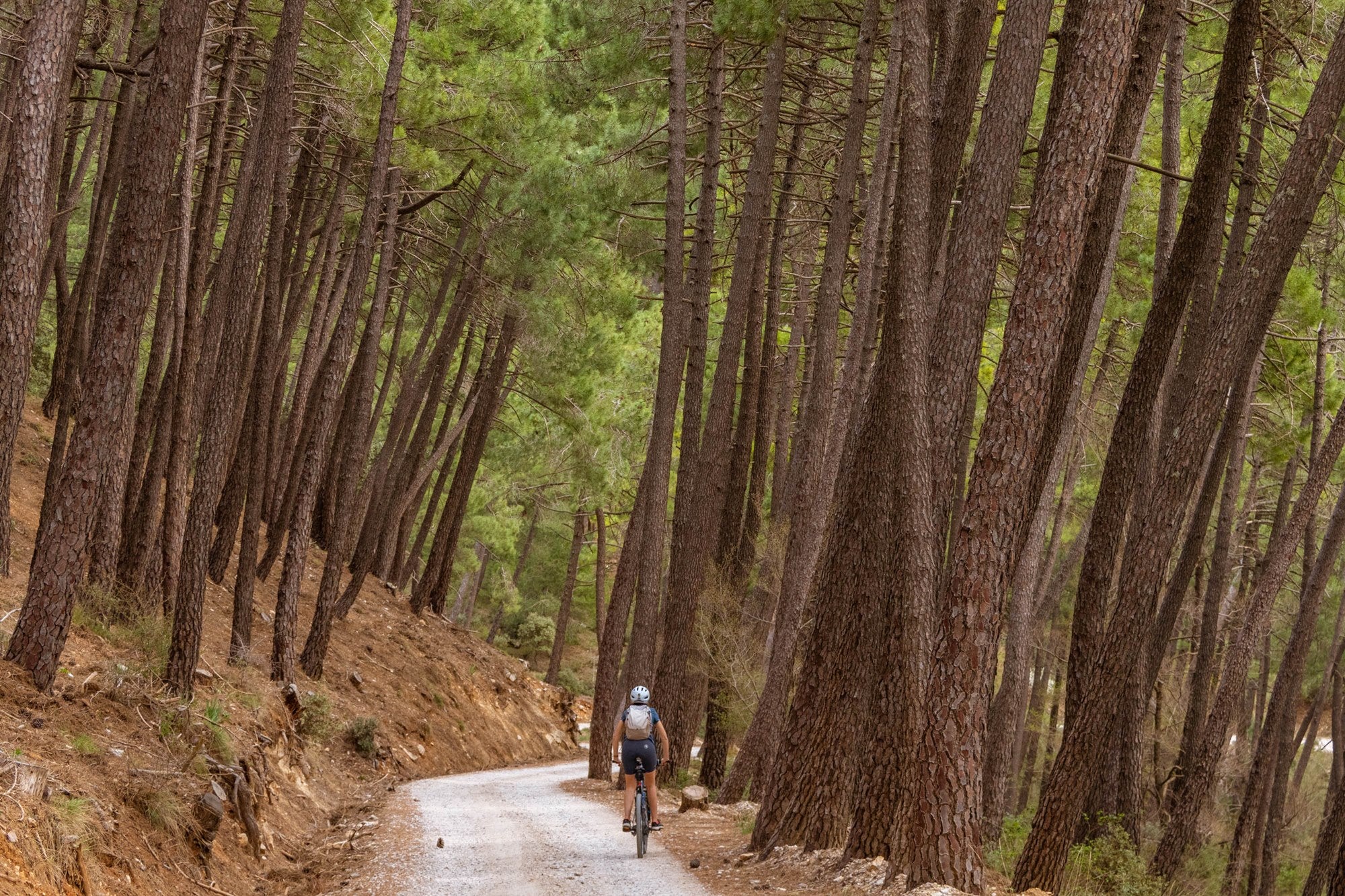 Parque Natural de las Sierras de Cazorla, Segura y Las Villas