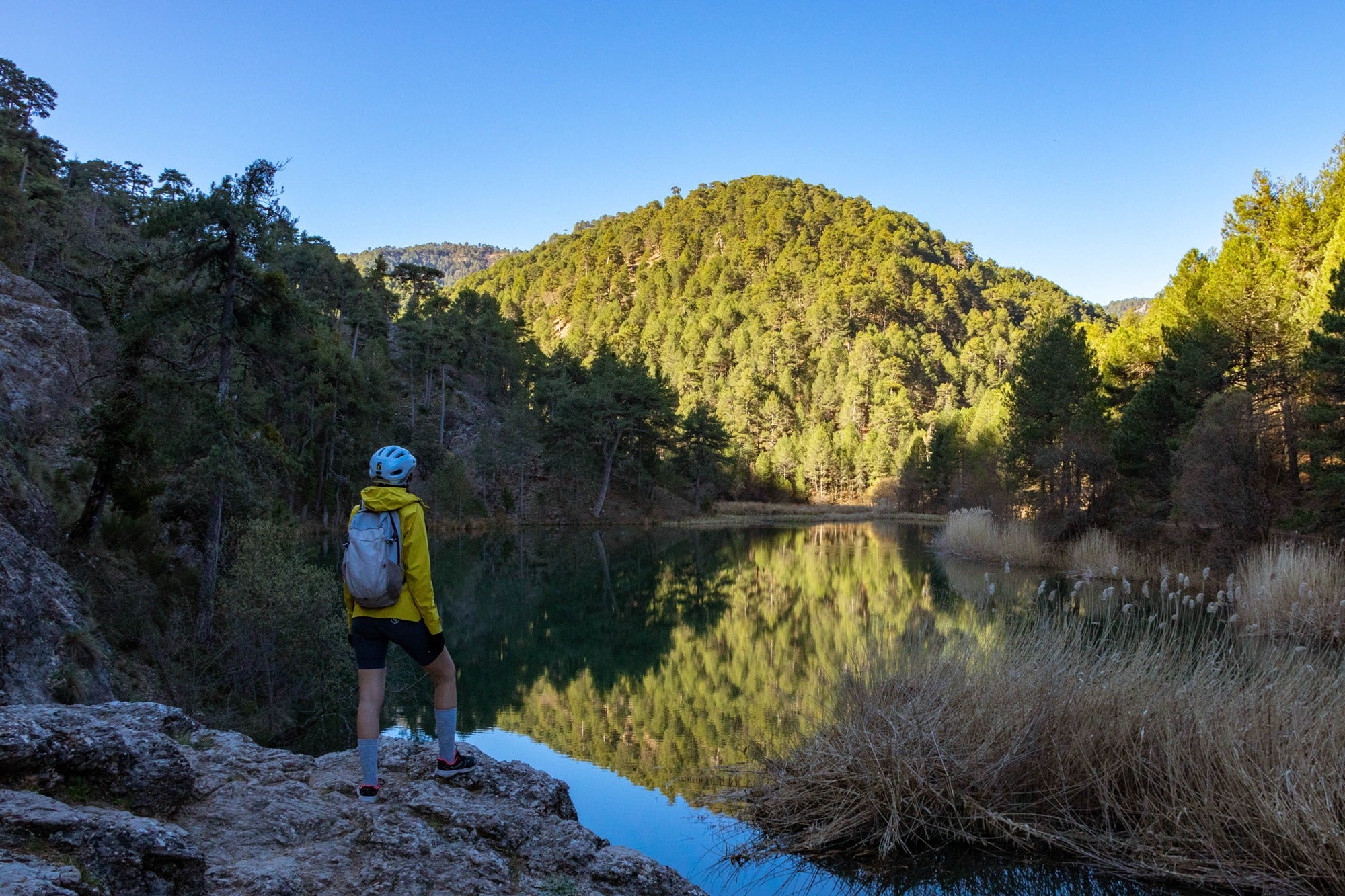 Parque Natural de las Sierras de Cazorla, Segura y Las Villas