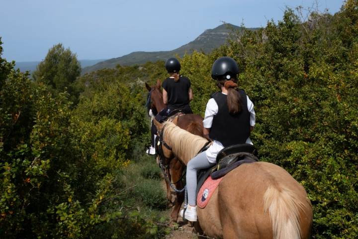 Ruta caballo castillo Loarre