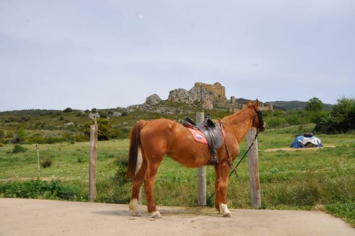 Caballos Castillo Loarre