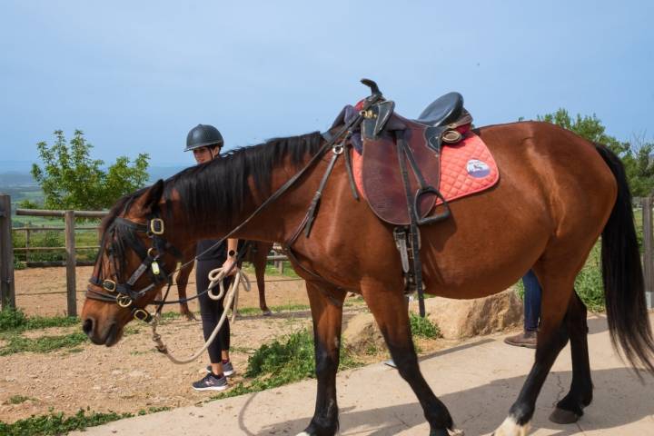 Caballos Loarre