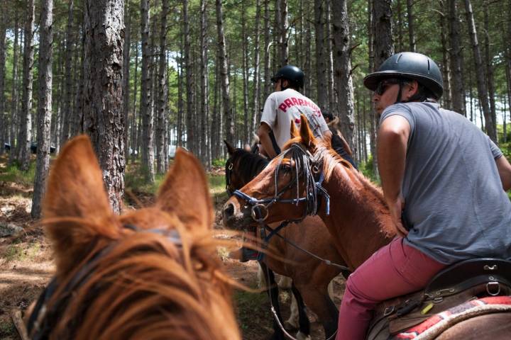 Caballo Castillo Loarre