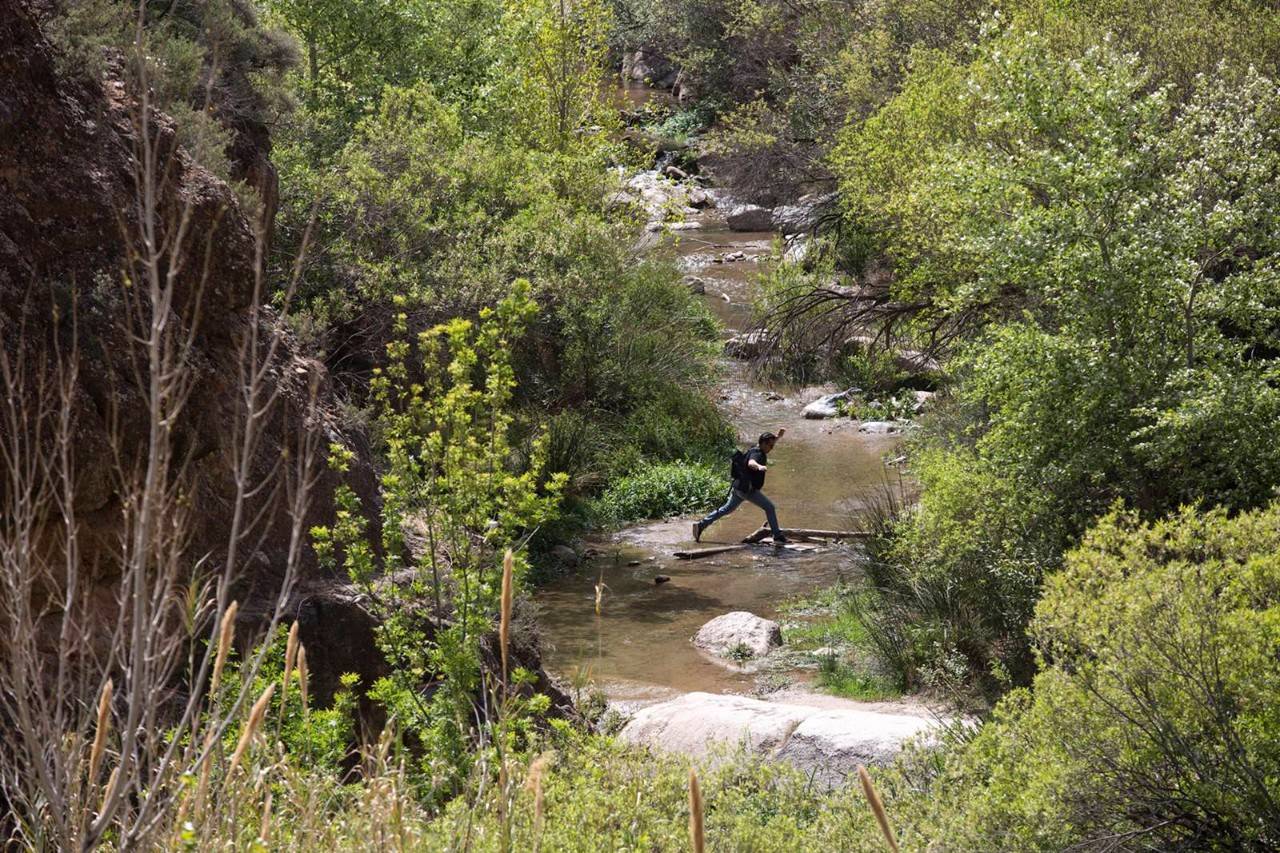 Un patio de juegos cortesía de mamá Naturaleza