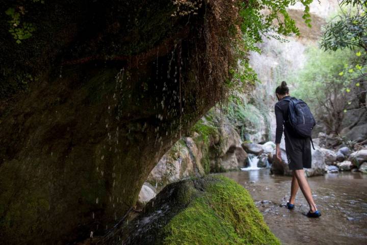 cascadas pequeñas canales de madules