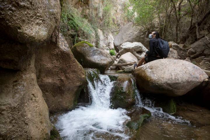 canales de padules