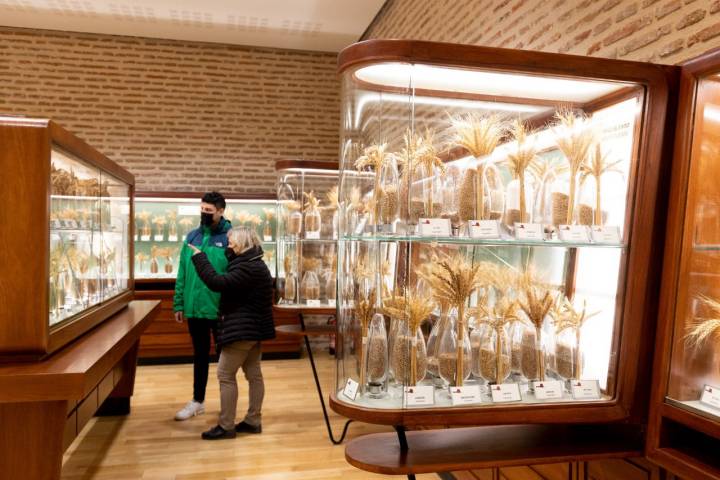 museo del cereal del castillo de arévalo