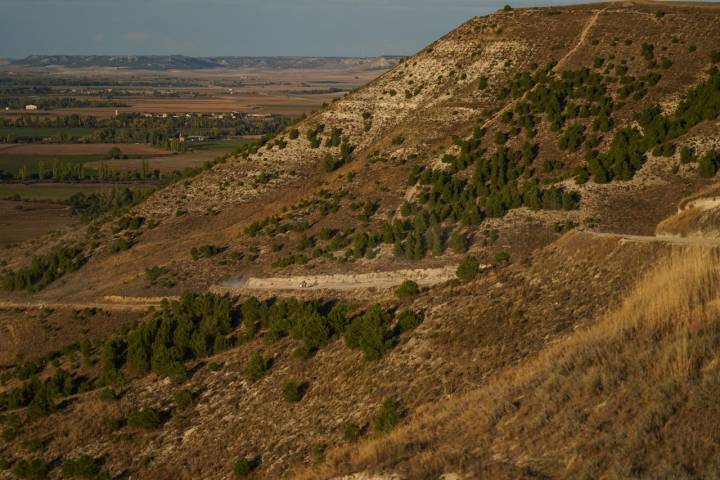 Cortados Cabezon Pisuerga