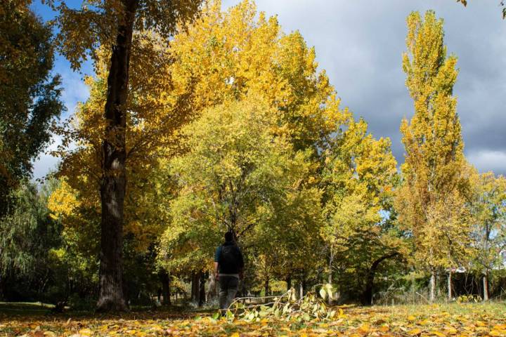 El acceso al parque recreativo está muy bonito en otoño.