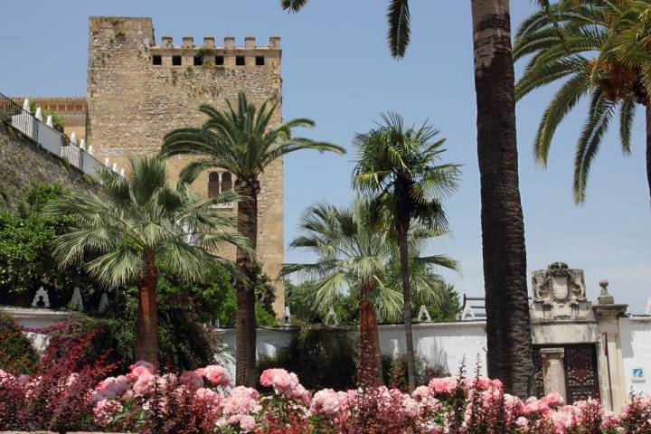 El castillo de Cabra en plena primavera. Foto: Caminos de Pasión.