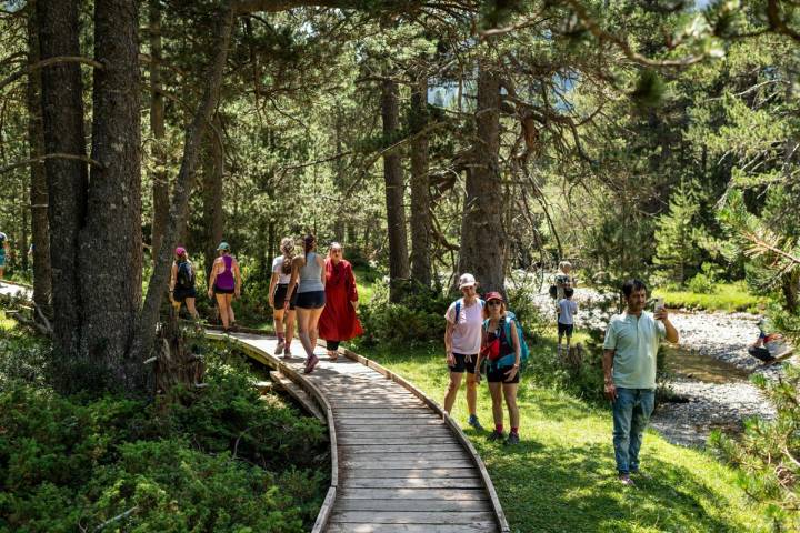 Ruta del Lago Llong. Ruta de las pasarelas