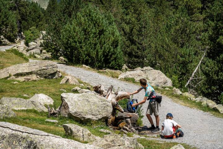 la Font del Planell Gran 