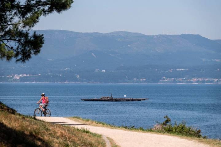 Durante todo el recorrido, el mar y las bateas son fieles compañeros.