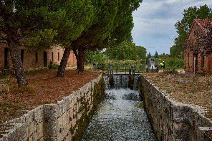 canal de castilla en dueñas