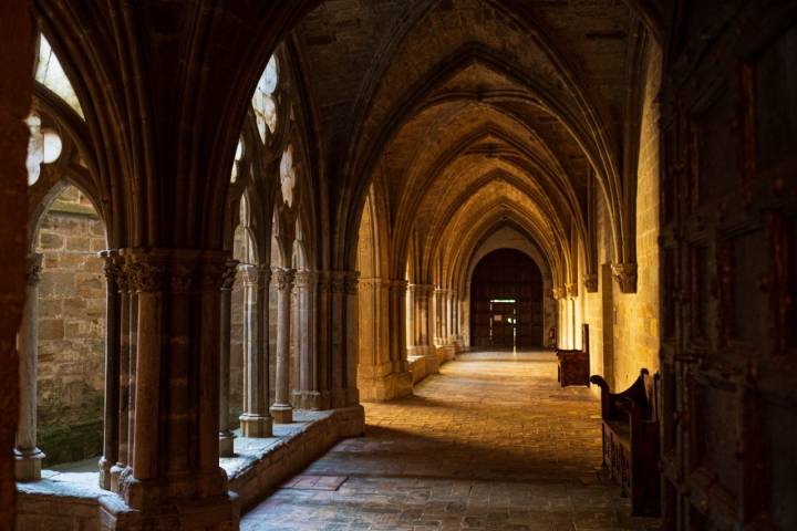 Ruta hayedo Peña Roya (Moncayo, Zgz) claustro