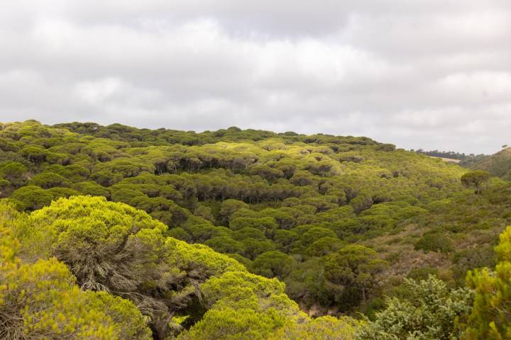 Parque Natural La Breña