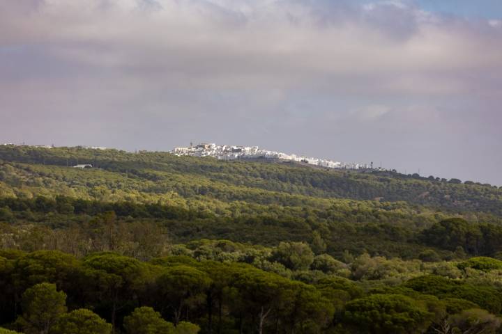 Ruta La Breña y Marismas Barbate (Cádiz) vejer de la frontera