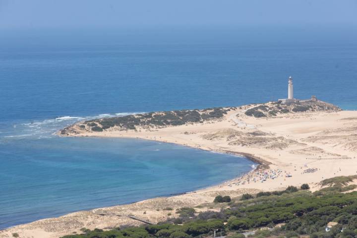 Ruta La Breña y Marismas Barbate (Cádiz) faro de Trafalgar