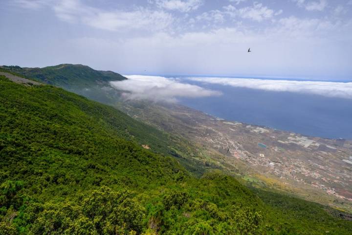 Ruta Senderista la Llania. Mirador de la Llanía: Vista izquierda