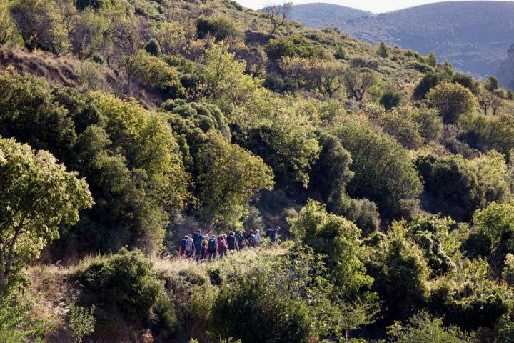 Via romana Riglos