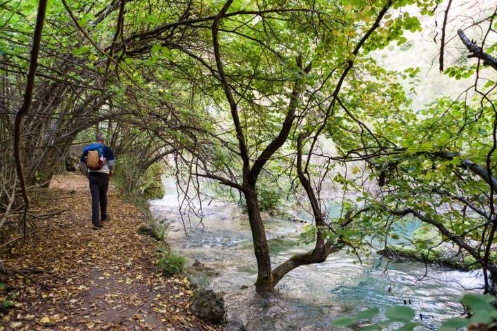 Paseando por Fuente Conejera, en el nacimiento del río Pitarque