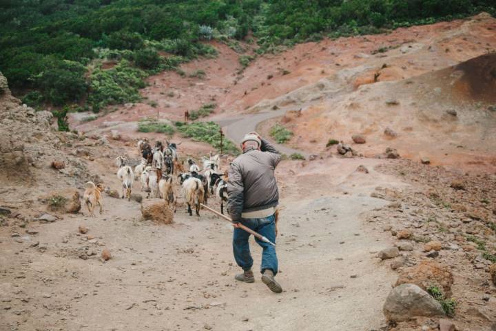 Hasta hace unas décadas, esta zona de Tenerife estaba prácticamente aislada del resto de la isla, lo que ha permitido su conservación.