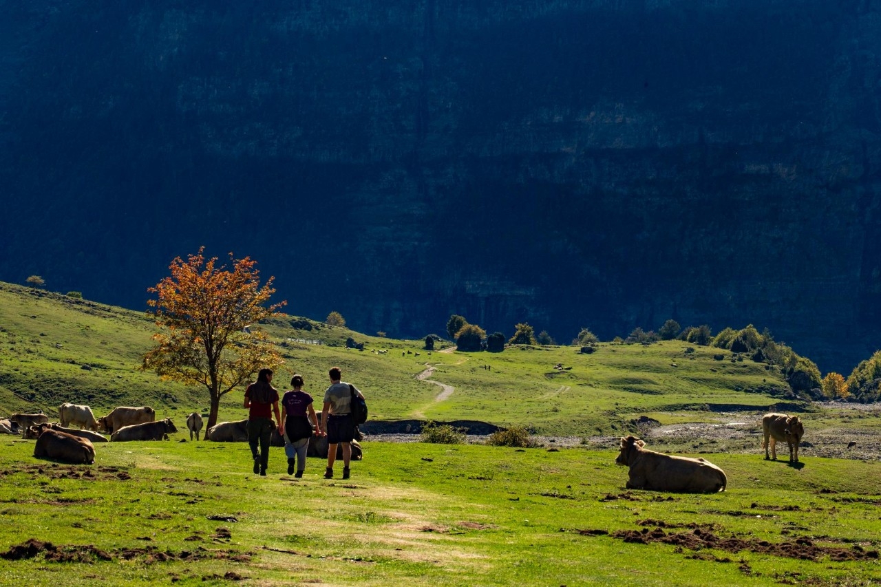Los guardas forestales del Parque Nacional vigilan que nadie incordie al ganado.