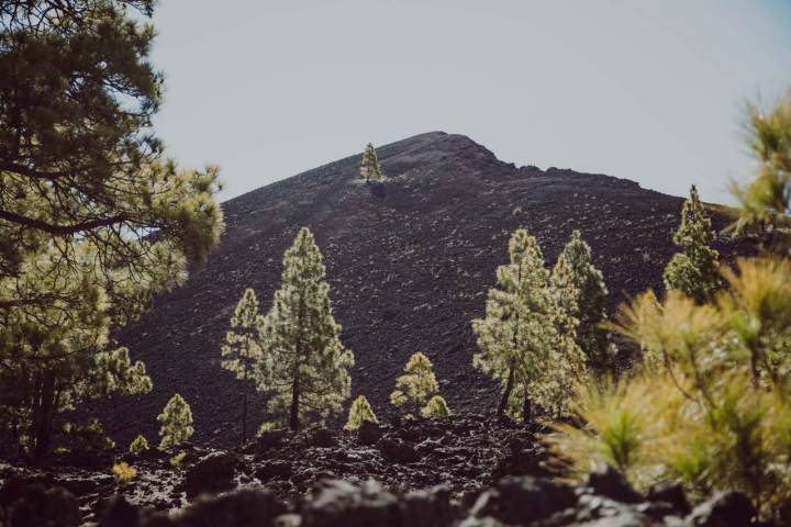 El volcán hizo erupción en 1909.