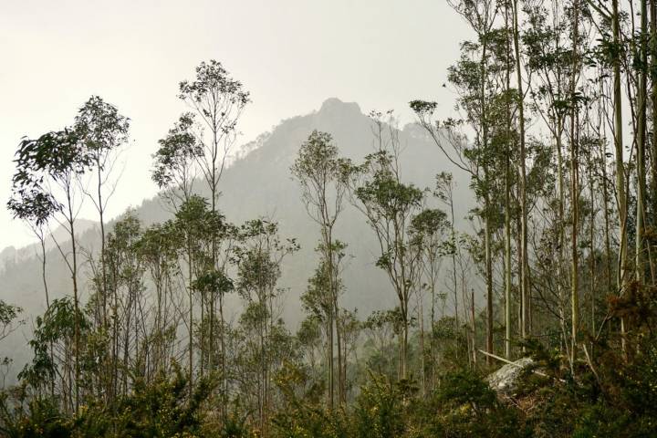 Paisaje con niebla de la Serra do Xistral