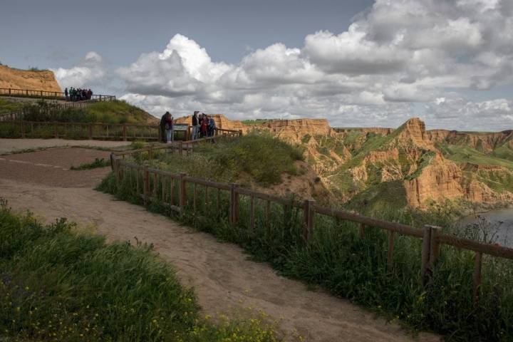 Barrancas de Castrejón y miradores.