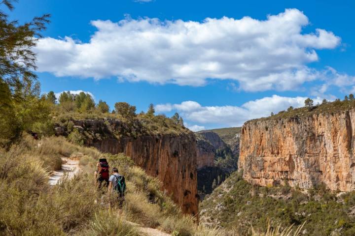 La caminata discurre por un bosque de ribera con vistas extraordinarias.