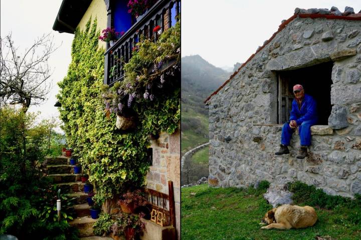 Casa de 'La Cueste' y Baltasar vigilando su ganado.