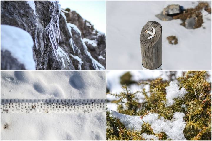 mosaico detalles ruta sierra nieves