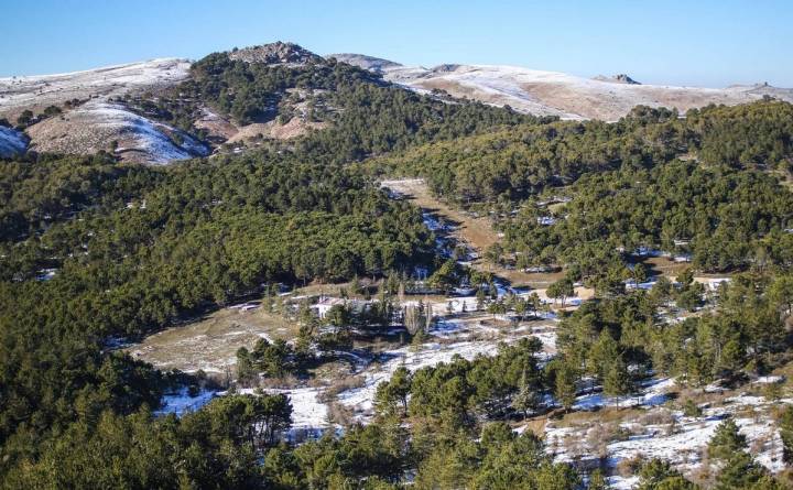 area recreativa los quejigales sierra de nieves malaga