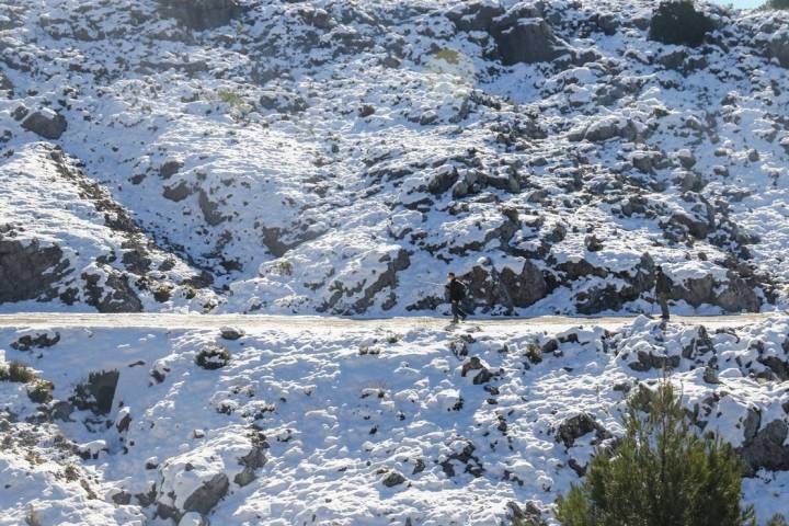 pista quejigales sierra de nieves malaga