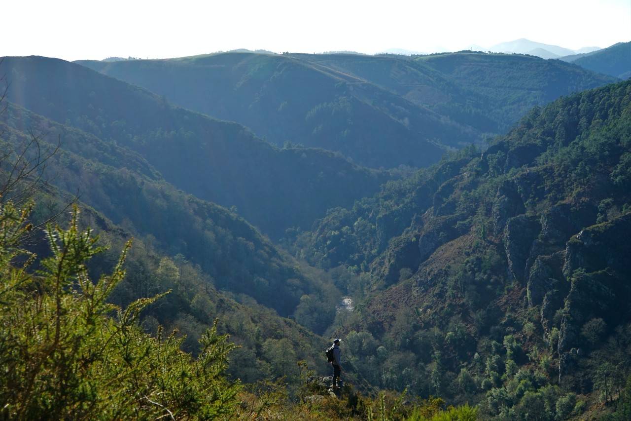 senderista en un valle de las hoces del esva en asturias