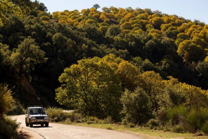 Carretera Valle del Genal