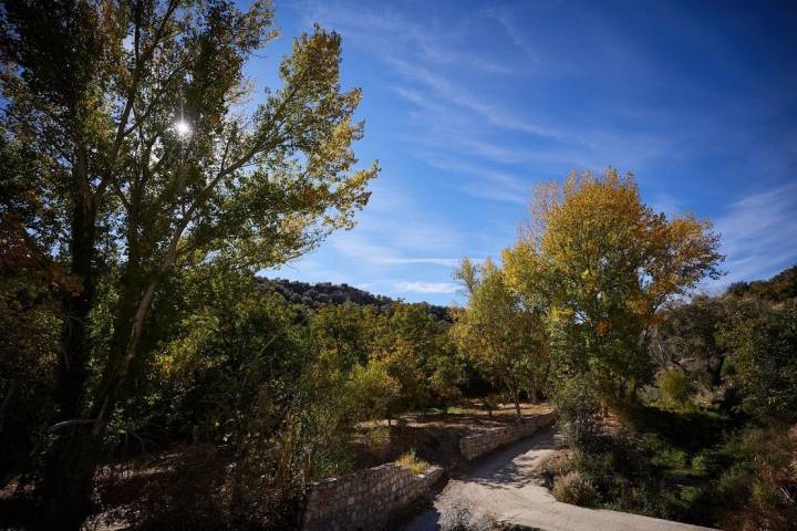 Ruta Barranco de la Luna