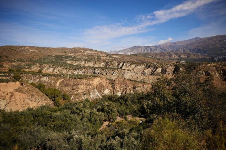 Valle del Lecrín