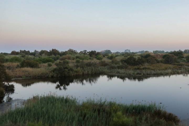 Lagunas Guadalhorce