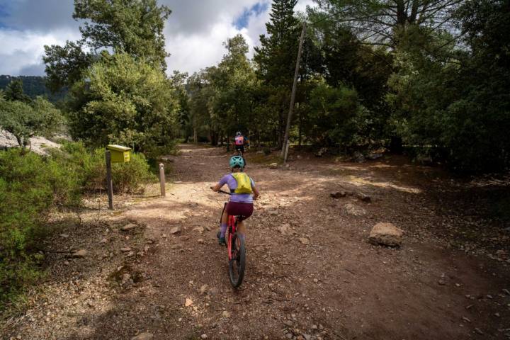 Ciclistas en el camino hacia el Monasterio de Lluc (Mallorca).