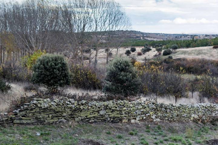 Una tierra árida para la siembra y el pasto que aguzó el ingenio para sobrevivir.