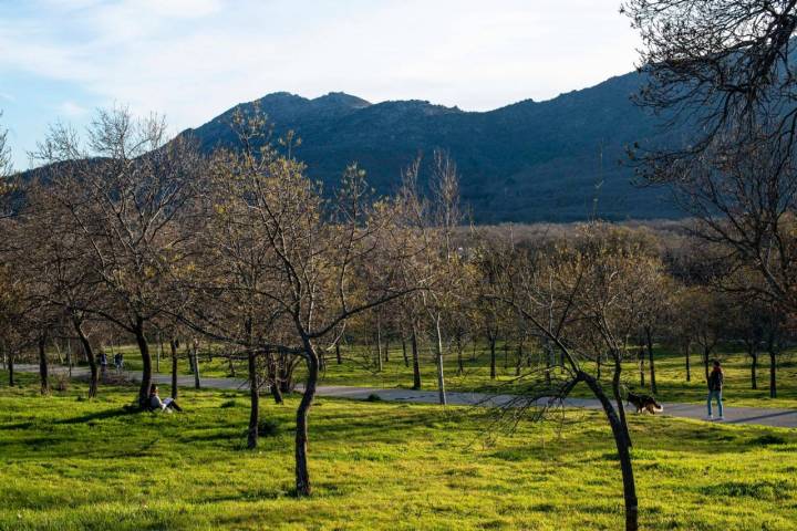 Acabada la excursión, un reposo al sol de febrero. Sin miedo.