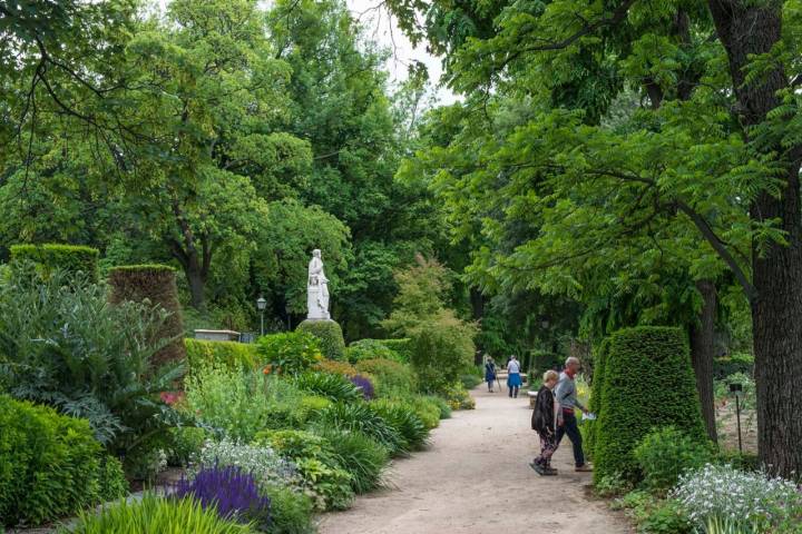 jardin botanico madrid