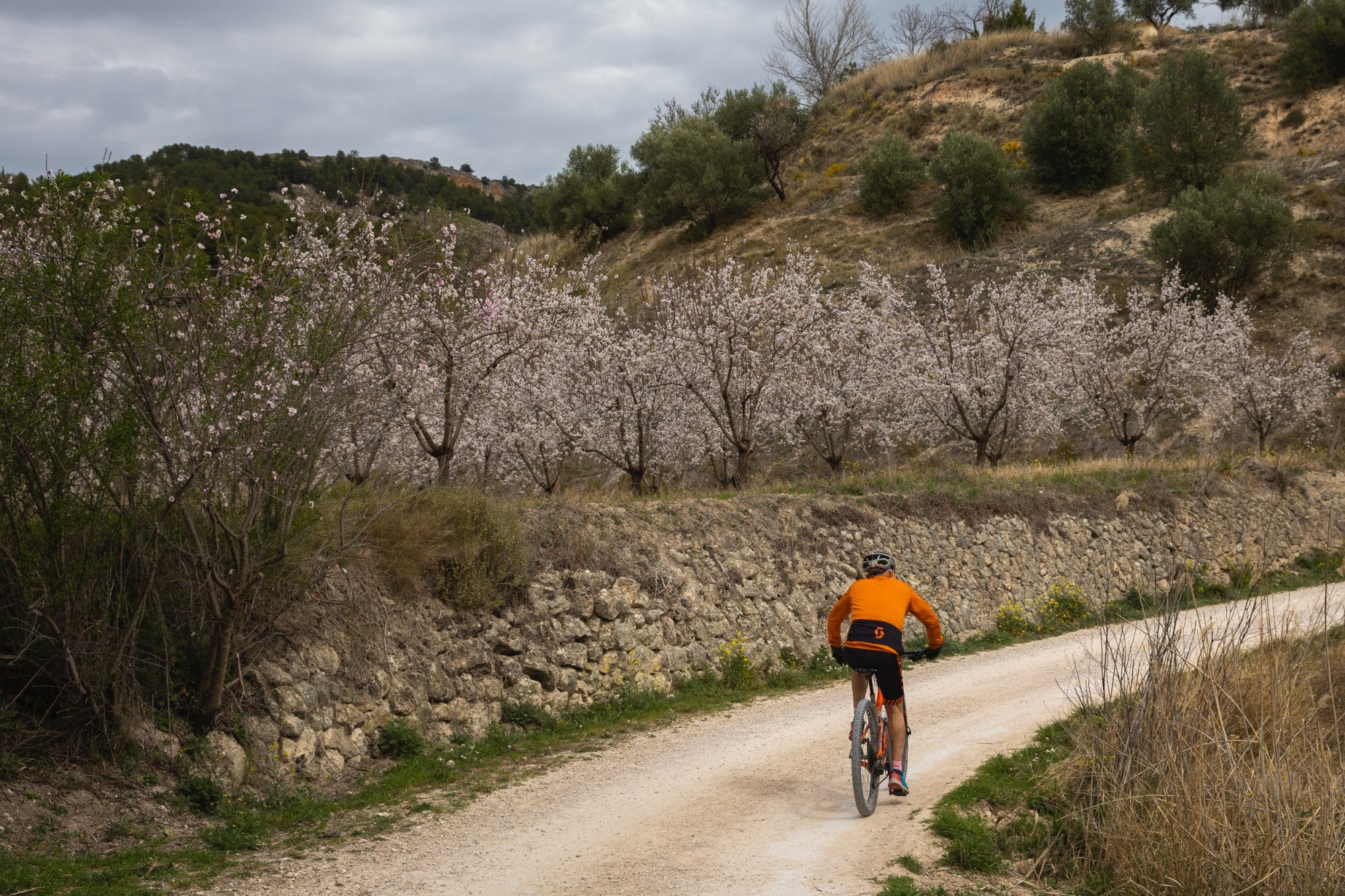 Los hermosos caminos que rodean Alcoy