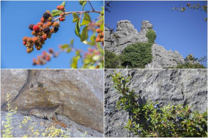 Torcal de Antequera formas