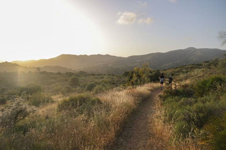 Pinares de San Antón